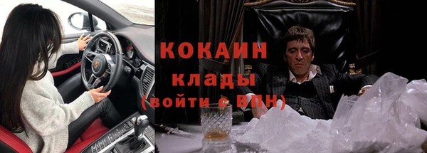 сатива Алзамай