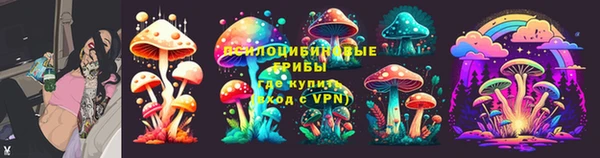 гидра Алексин