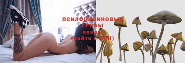 сатива Алзамай