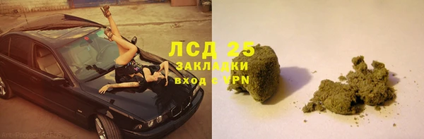 гидра Алексин