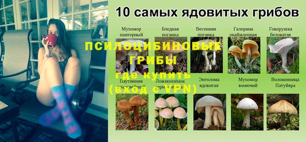 сатива Алзамай